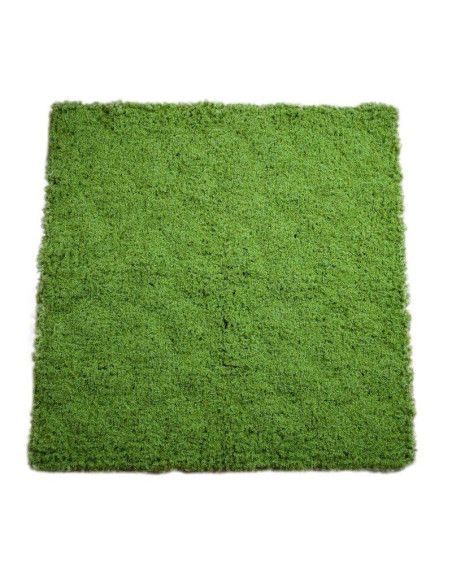 Haie Artificielle Reindermoss 100 x100 cm ( 1 m2)