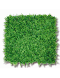 Jardín Vertical Adianthums 100x100 ( 1m2)