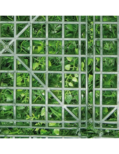 Jardín Vertical Adianthums 100x100 ( 1m2) 2