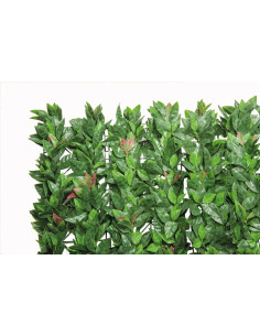 Haie Artificielle Photinia 100 x 100 ( 1m2)